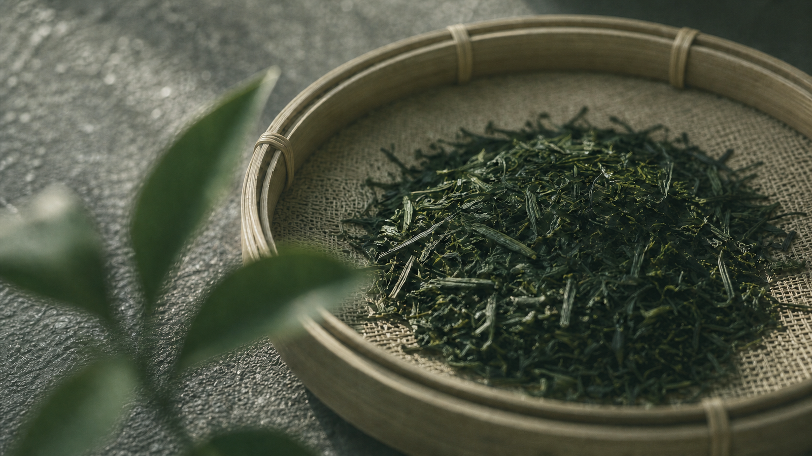 Dried tea leaves in a bamboo sieve