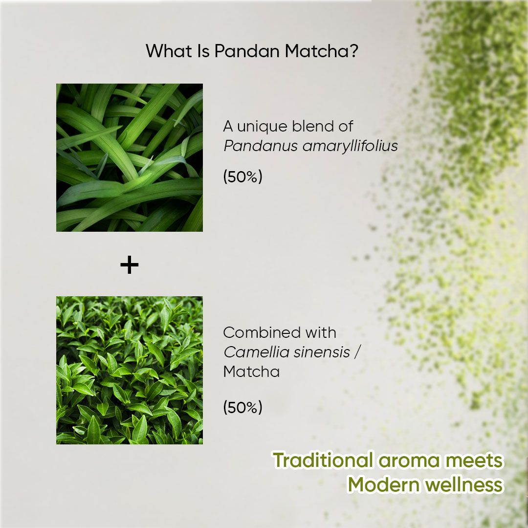 What is Pandan Matcha: pandan leaf and tea leaf blend, 50/50